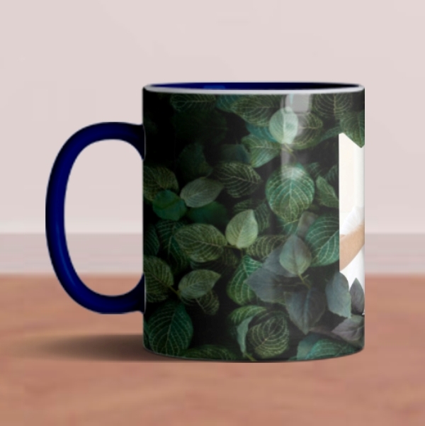 Inside-color Mugs